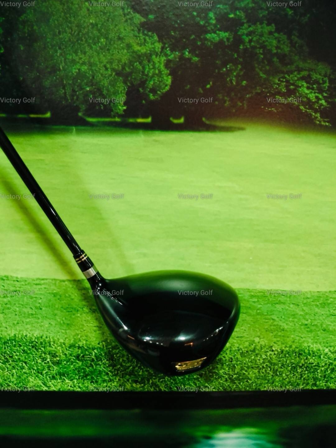 Driver Ryoma MAXIMA Type D 10.0 (Tour AD Ryoma F) / (SR)