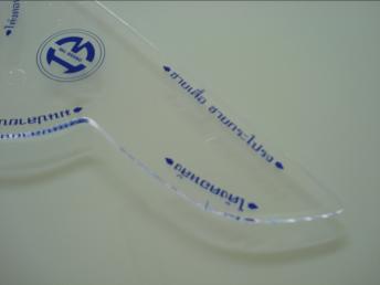 ไม้บรรทัดนกแก้ว