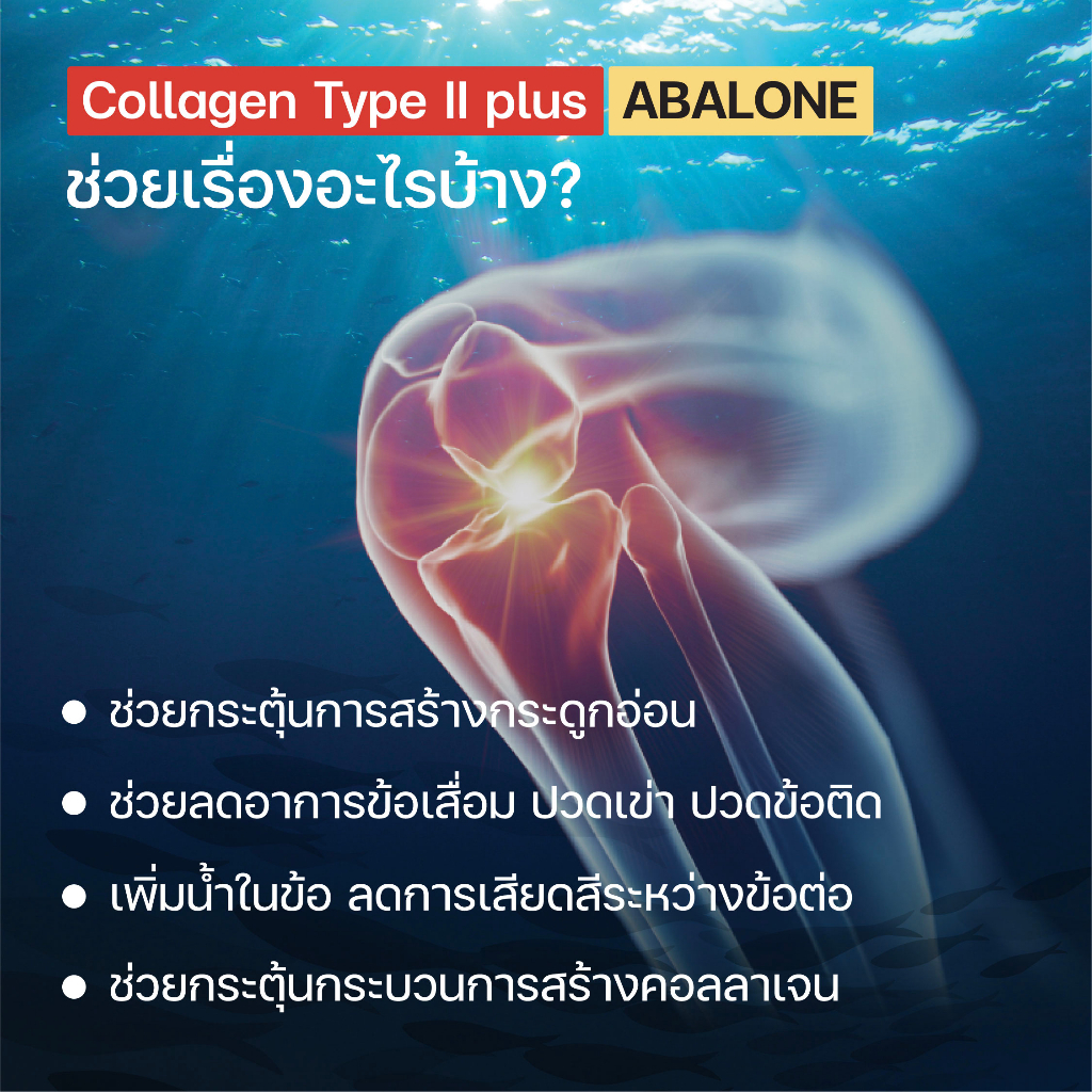 Well u Abaone Collagen