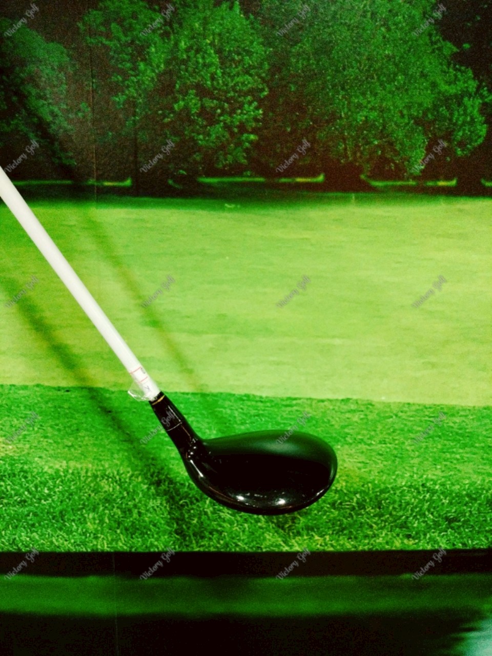 Fairway Honma Amazing Spec Perfect Switch 7/21 ( Perfect Switch )/ ( SR )