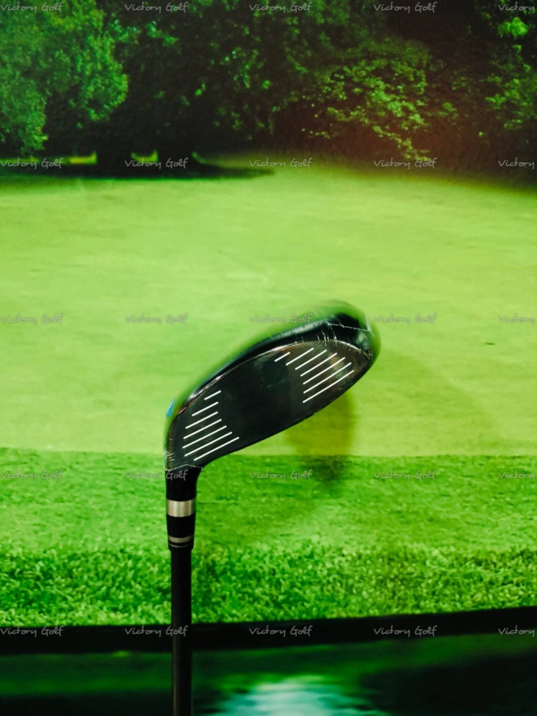 Fairway Ryoma Maxima W.3 ( Special Tuning ) ( Tour AD/ R )