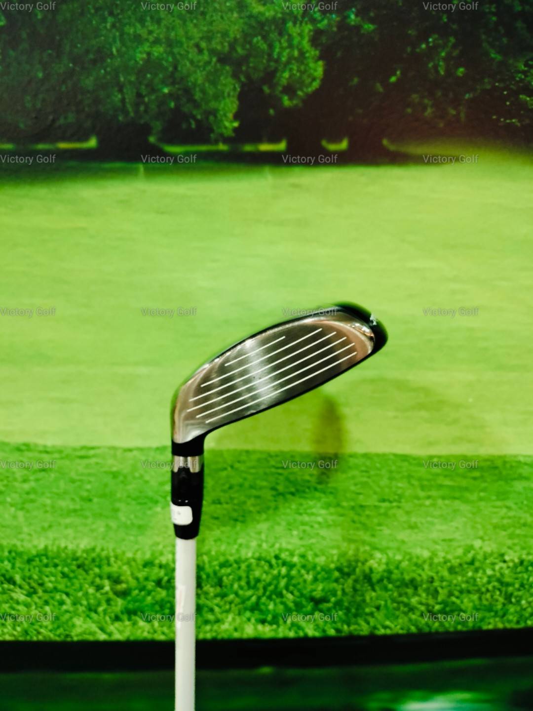 Utility Titleist VG3 4/17 (FUBUKI 70) / (X)