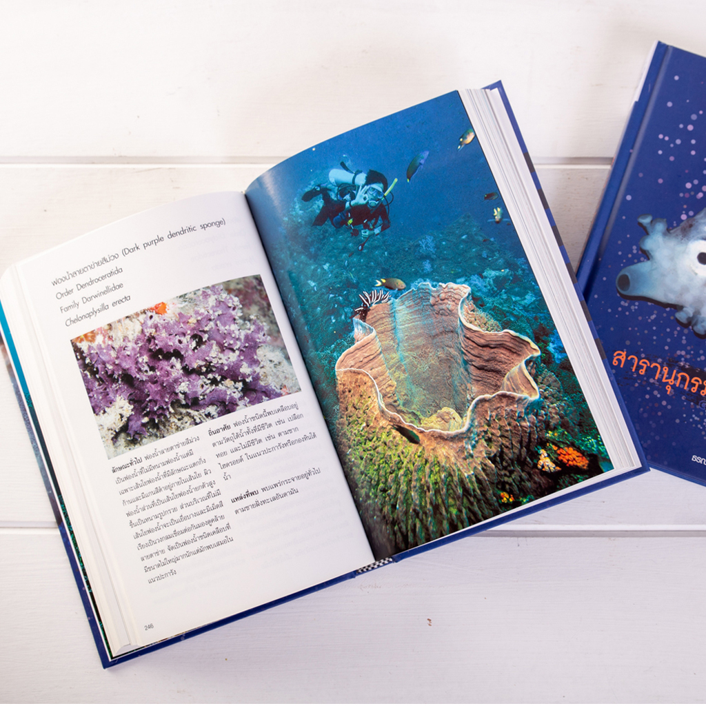 สารานุกรมอันดามัน (ฉบับปกแข็ง)