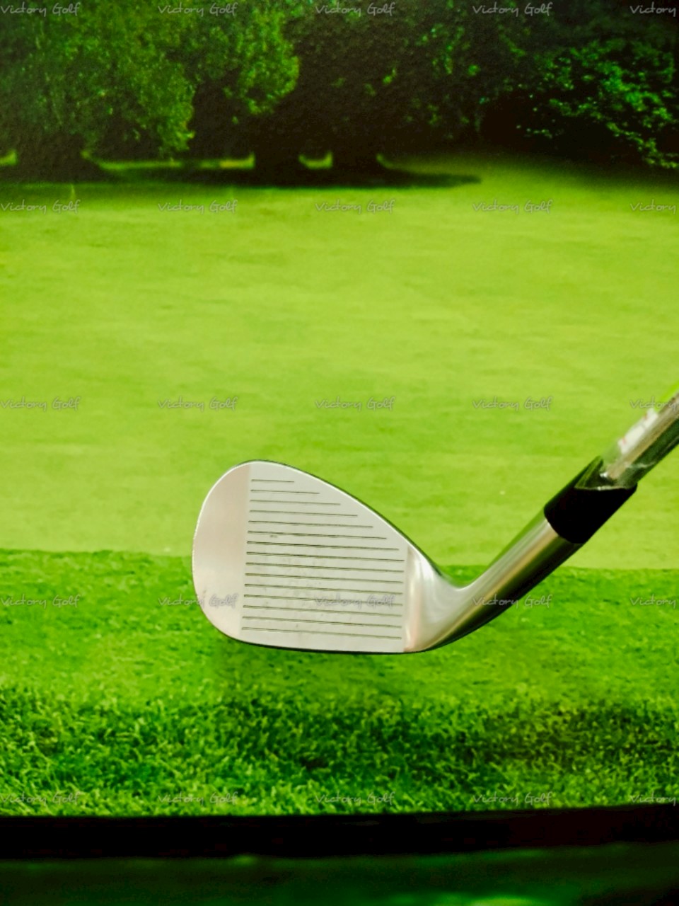 Wedge Fourteen DJ-22 52 (N.S.Pro 950GH)