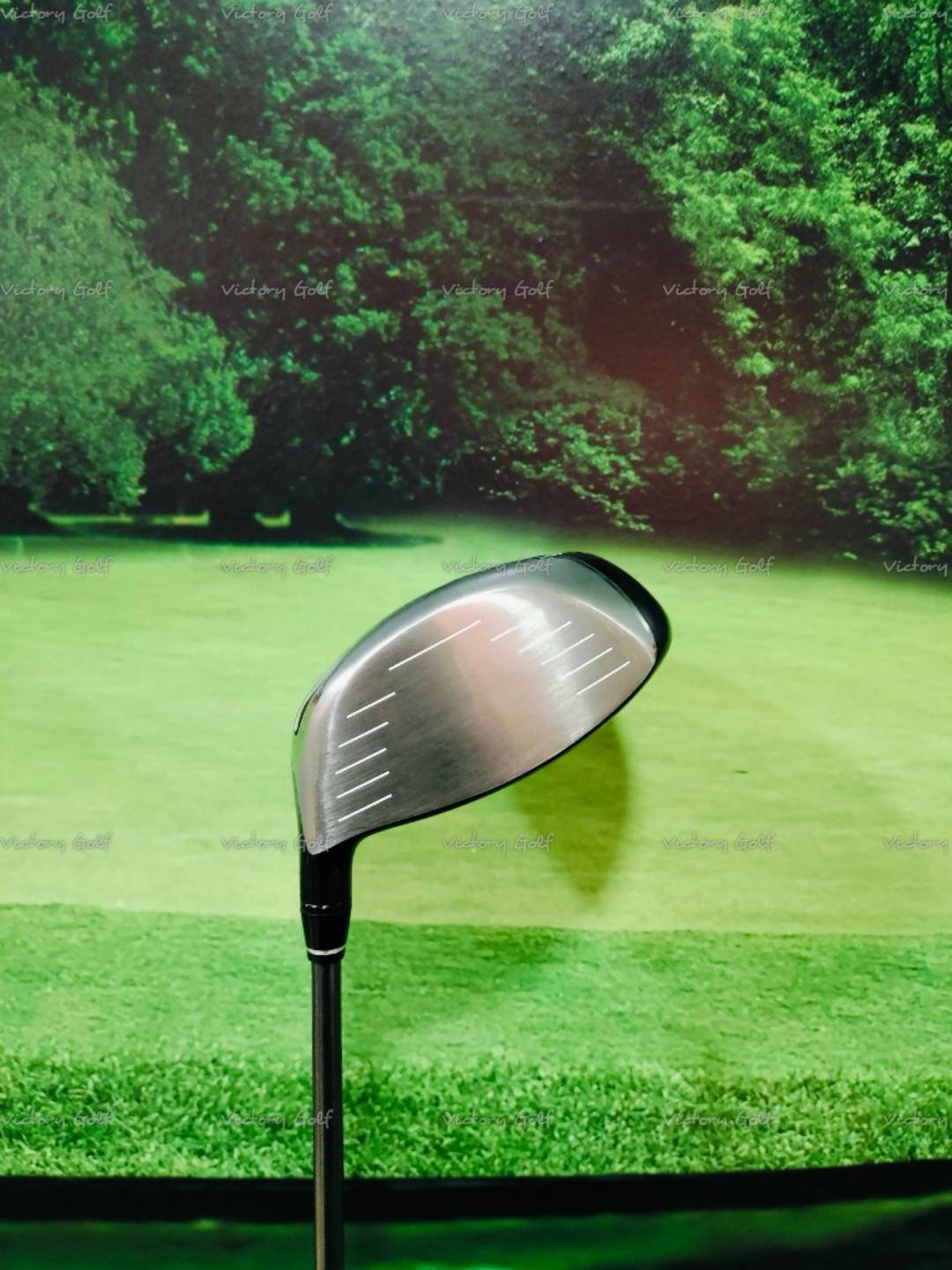 Driver Honma 10.5 TW747 455 T//World (VIZARD) / (R)