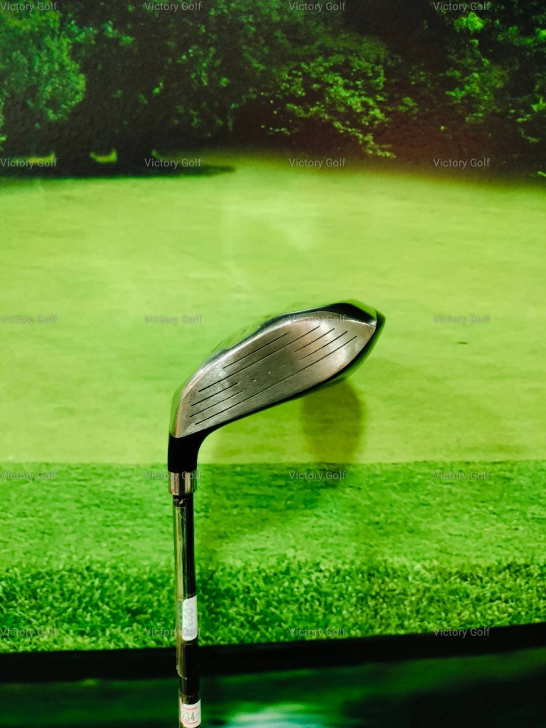 Fairway Hexus LS w.5/19 ( HEXUS Lite Spec) / (R)