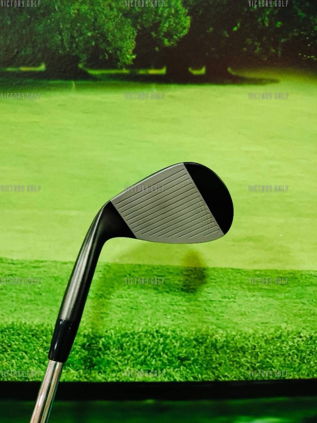 Wedge Mizuno S18 56/10 (Dynamic gold) (Flex : W-F)