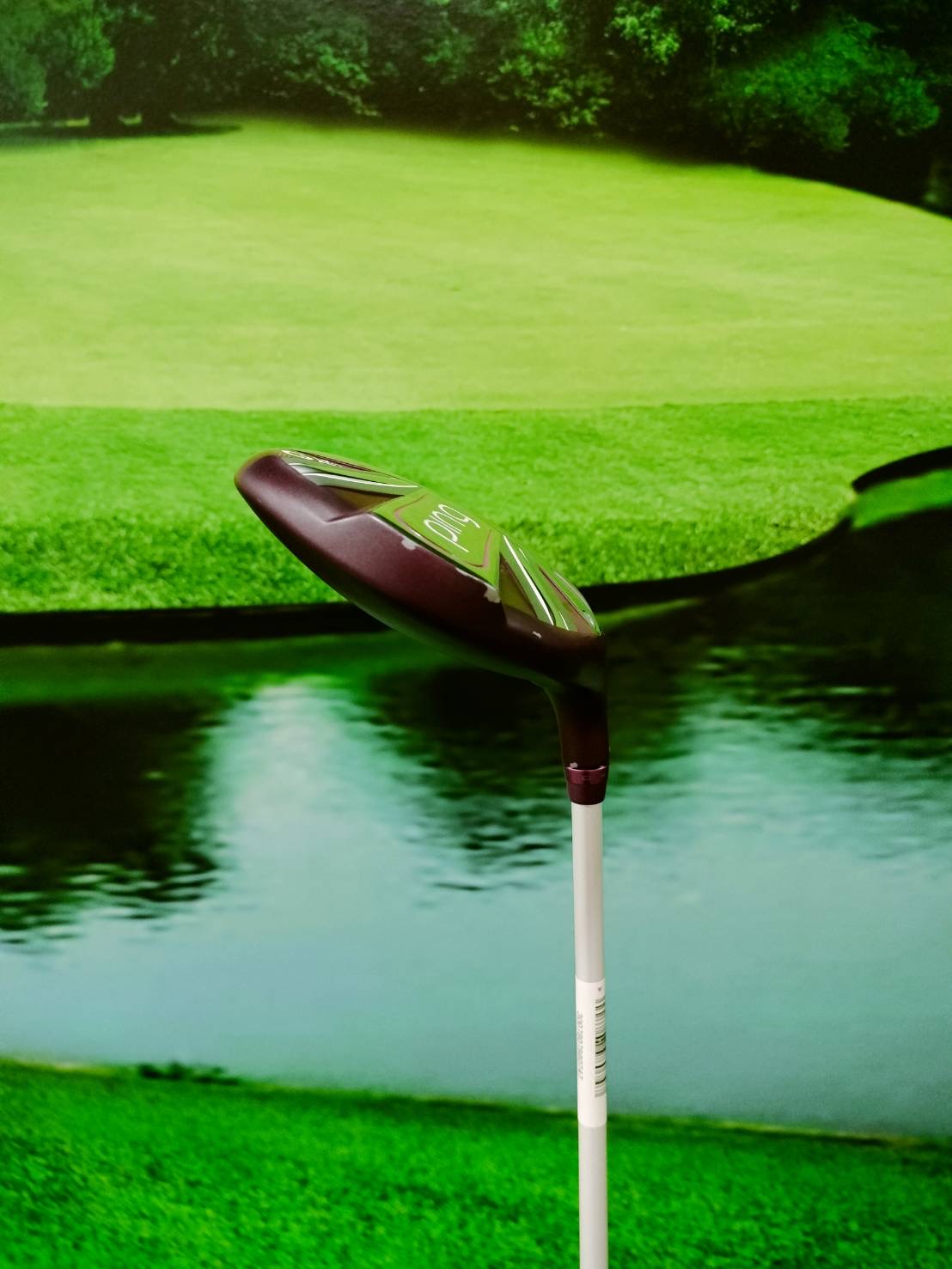 Fw.Ping Gle 2 w.3 flex : L (loft 19)