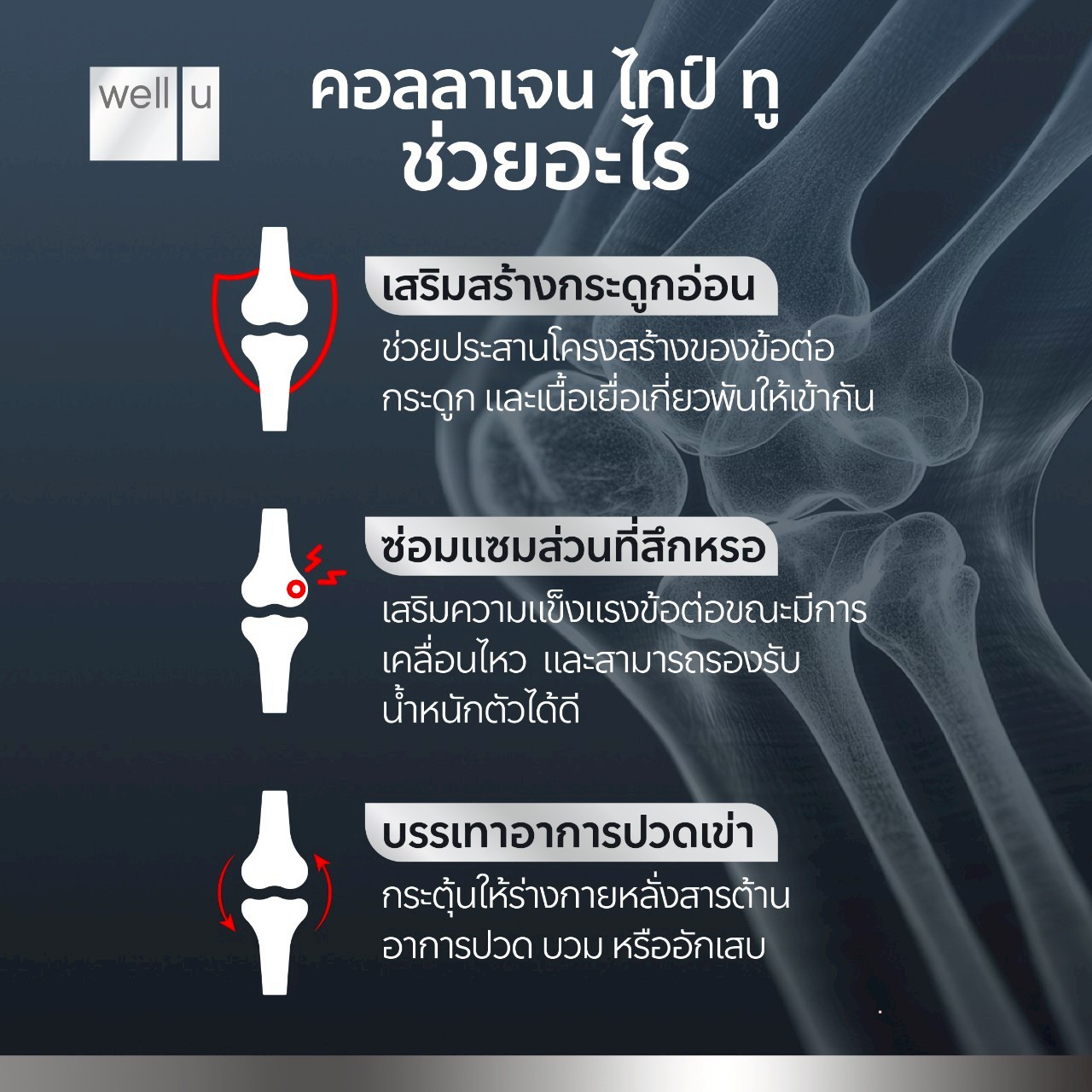 Well Advanced Collagen Type ll Plus 6 IN 1 (เวลยู แอดวานซ์ คอลลาเจน ไทป์ ทู )