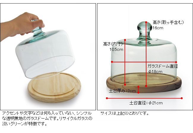 ฝาครอบเค้ก/ Cake Dome M size (10-8035)