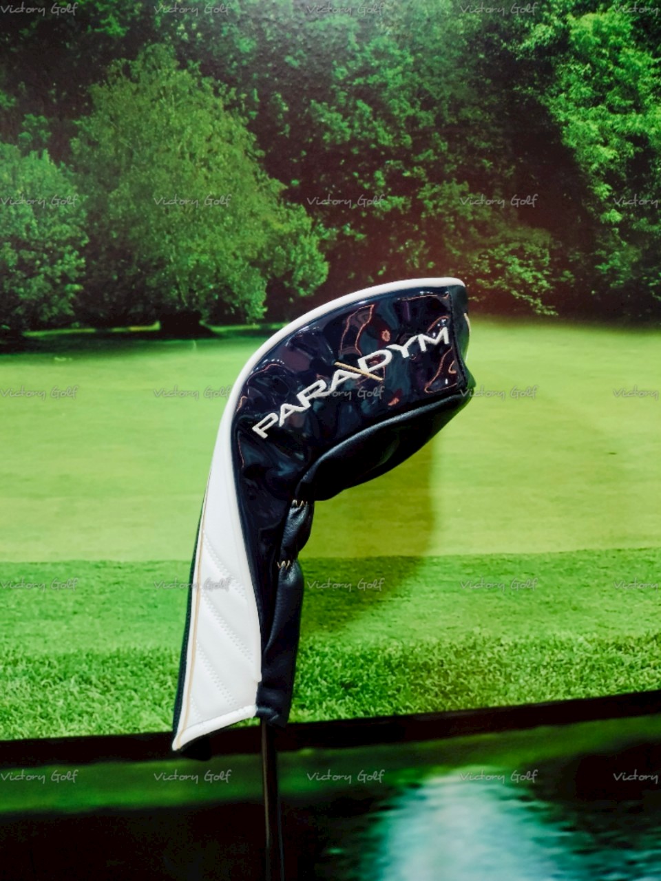 Driver CALLAWAY Paradym X Forged Carbon Loft 9.0 (Monster) / (A)