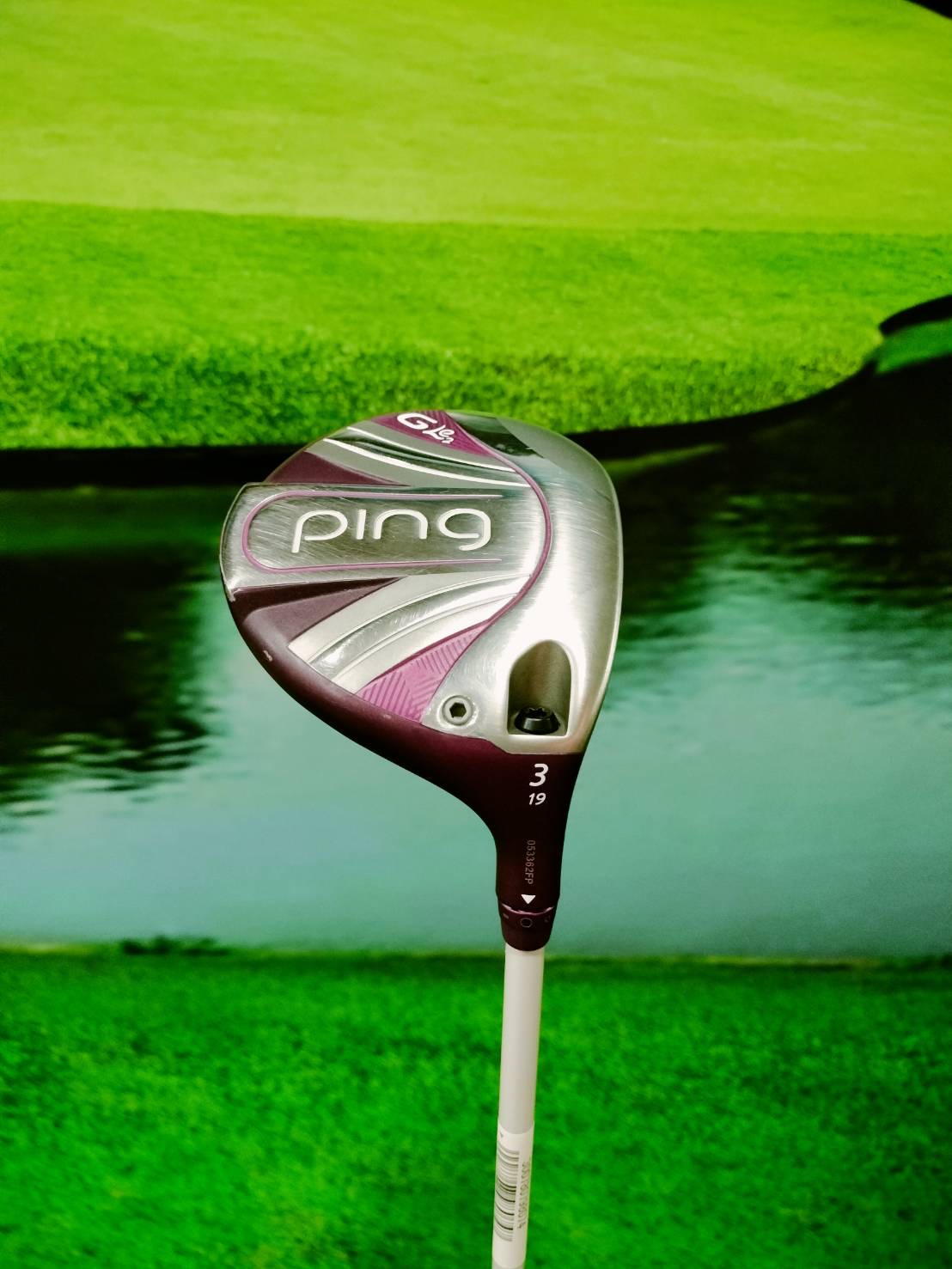 Fw.Ping Gle 2 w.3 flex : L (loft 19)