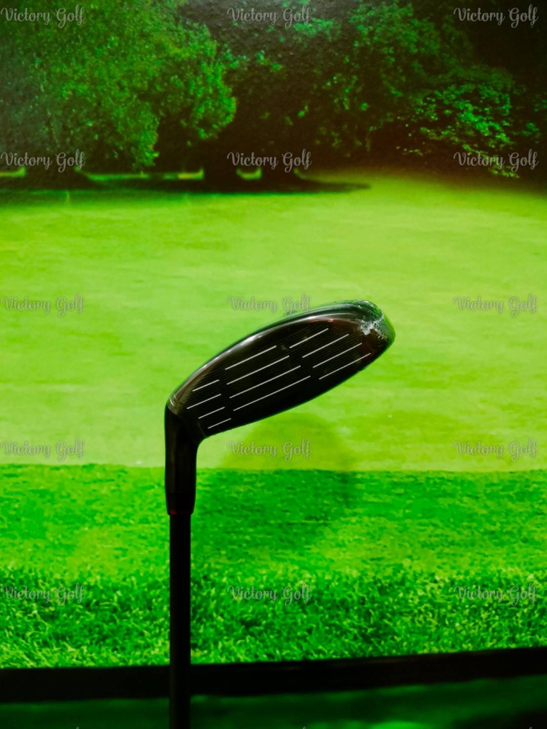 Ut. ON-OFF Model WINGS AKA 2024 U.5/24 (Flex: R)