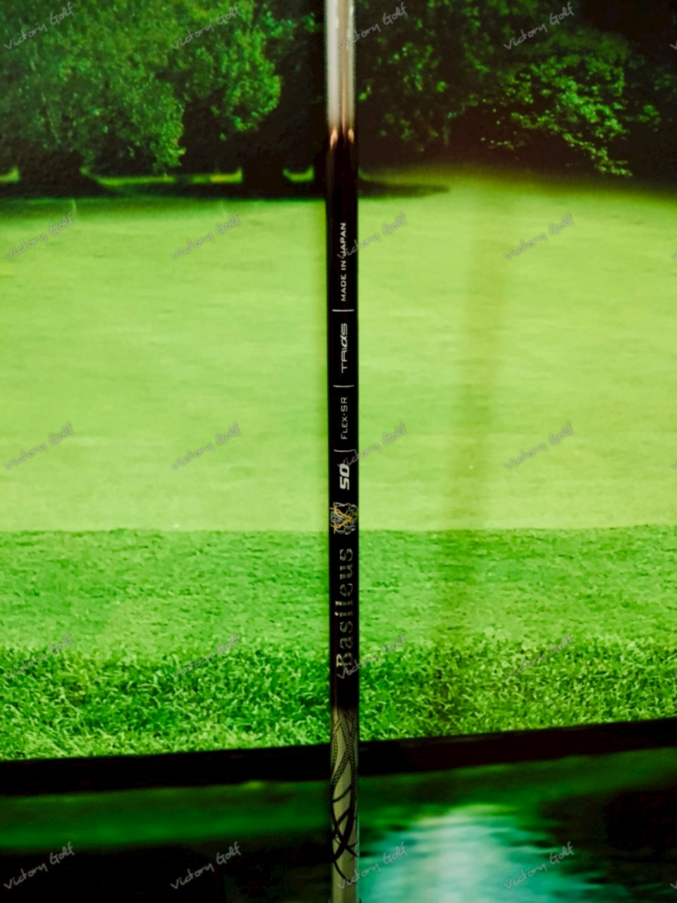 Driver Progress BB6 Endless Ambition 9.5 ( Basileus )/ ( SR )