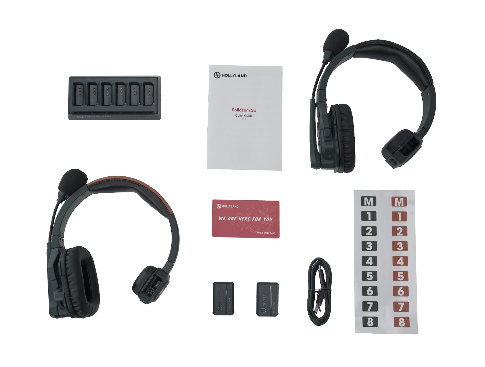Hollyland Solidcom SE Wireless Headset-2S (Global Version)