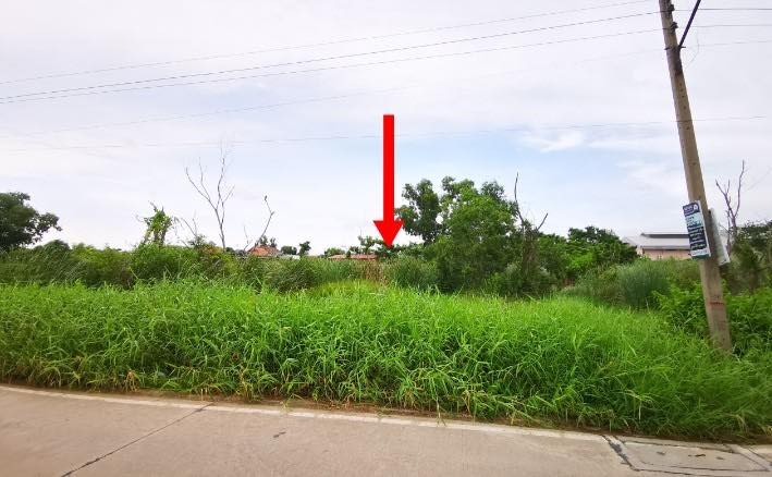 ขายที่ดินซอยบงกช47 เลียบคลองสอง ( รหัสทรัพย์ 202178 ) ต.คลองหลวง อ.คลองหลวง จ.ปทุมธานี ขนาด 380 ตรว. หน้ากว้าง 40 เมตร ลึก 50 เมตร ติดถนนซอย47 ถนนกว้าง 5 เมตร อยู่ใกล้แหล่งชุมชน
