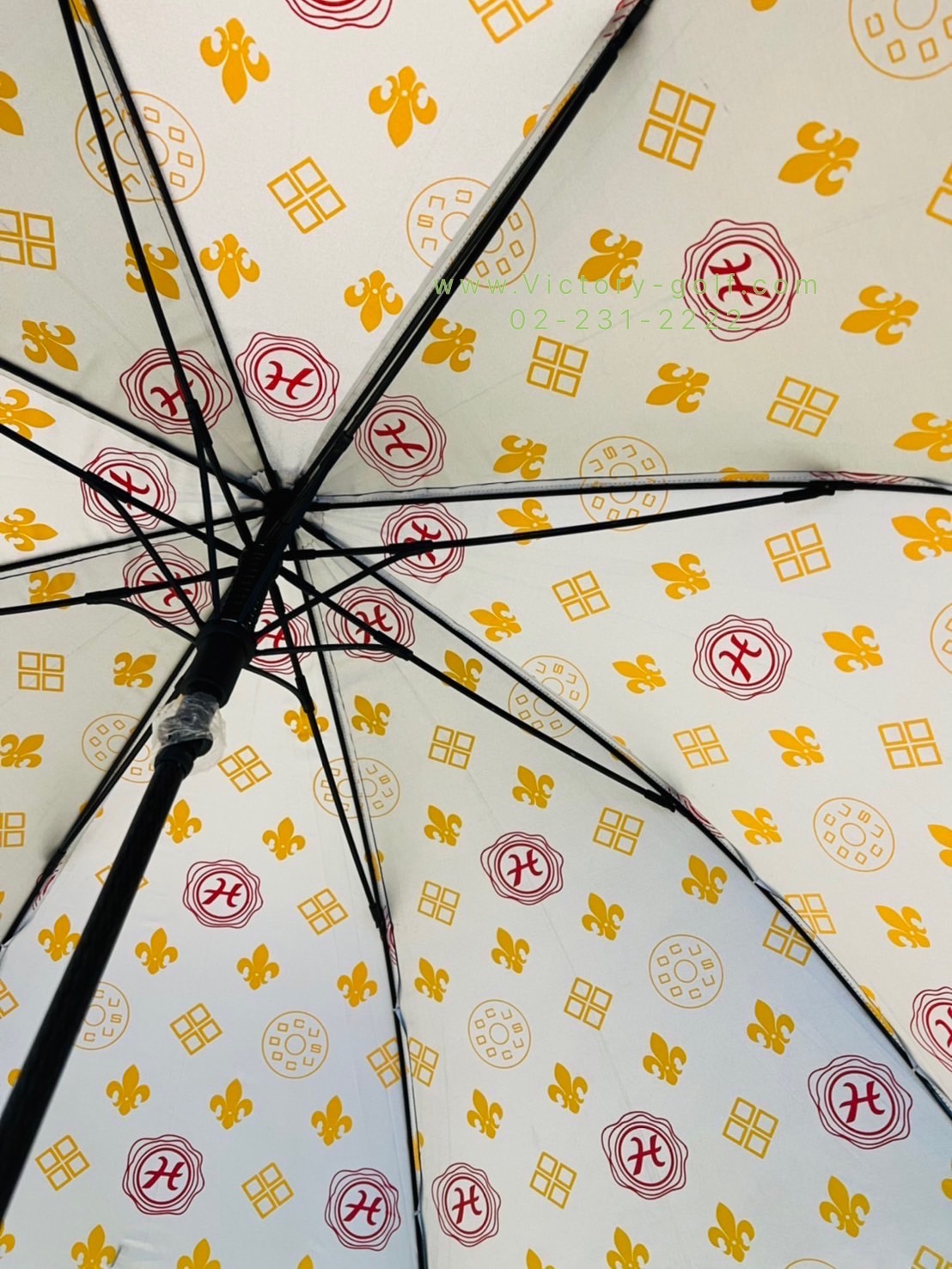 Umbrella DOCUS From Japan (UV Cut Rate99%) (Cloth 100%) (80cm.)