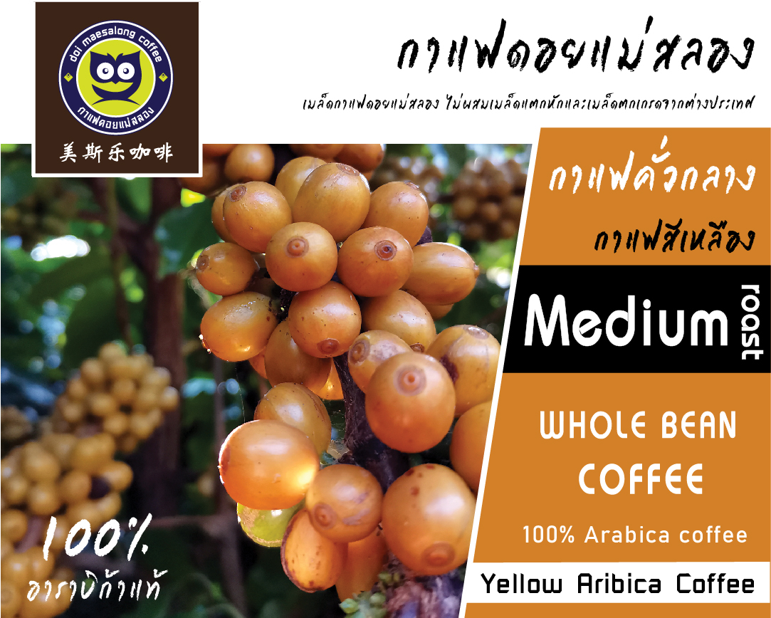 กาแฟสีเหลือง คั่วกลาง Yellow Arabica Coffee Medium Roast