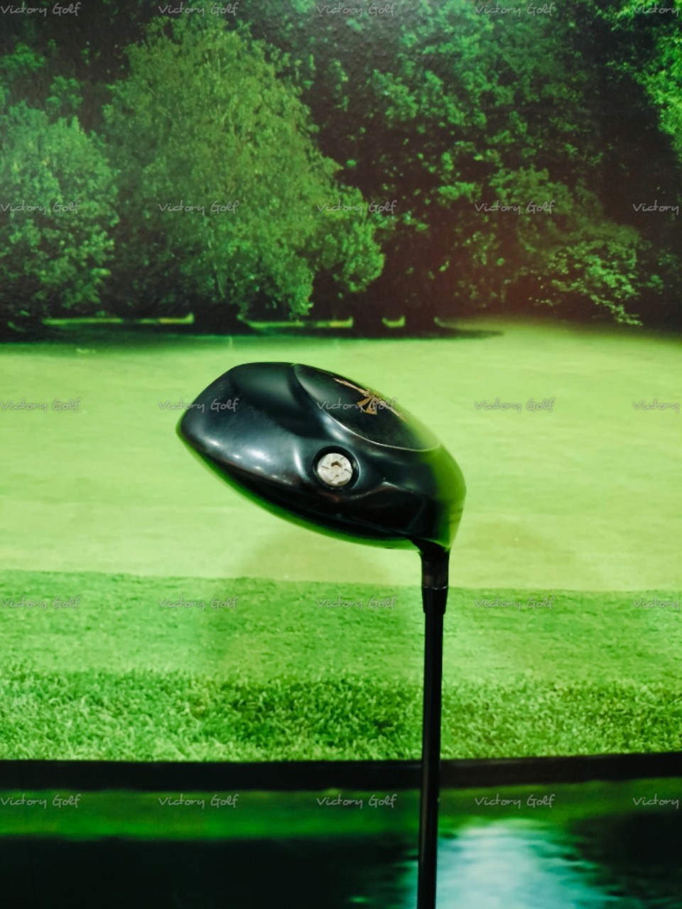 Driver Crazy 460 Special Tuning (หน้าเด้ง) loft 9.5 (VENTUS Fujikura) Flex : S