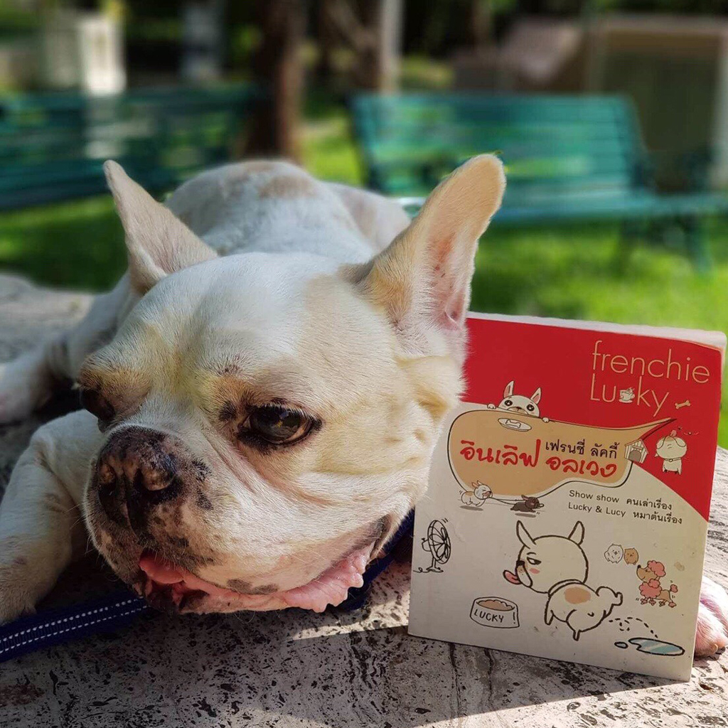 เฟรนชี่ ลัคกี้ อินเลิฟ อลเวง