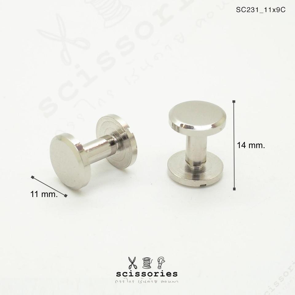 น๊อต สีเงิน จำนวน 2ตัว