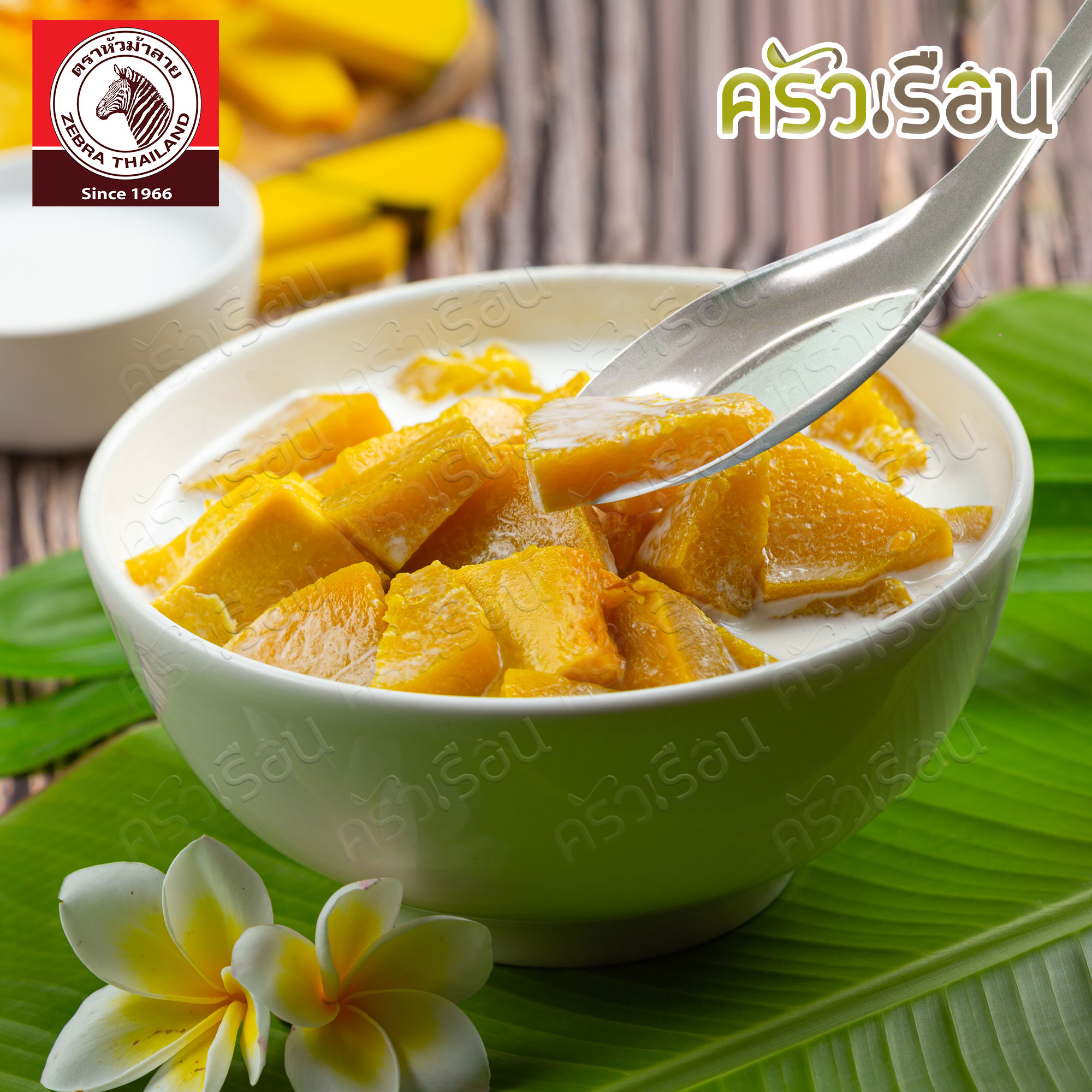 ZEBRA Dessert Chinese Spoon 11.5 x 3.6 cm. pack 12 pcs. 100100