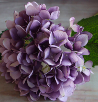 ดอกไม้งานผ้า ไฮเดรนเยีย สวยมากๆค่ะ มีหลายสีนะคะ