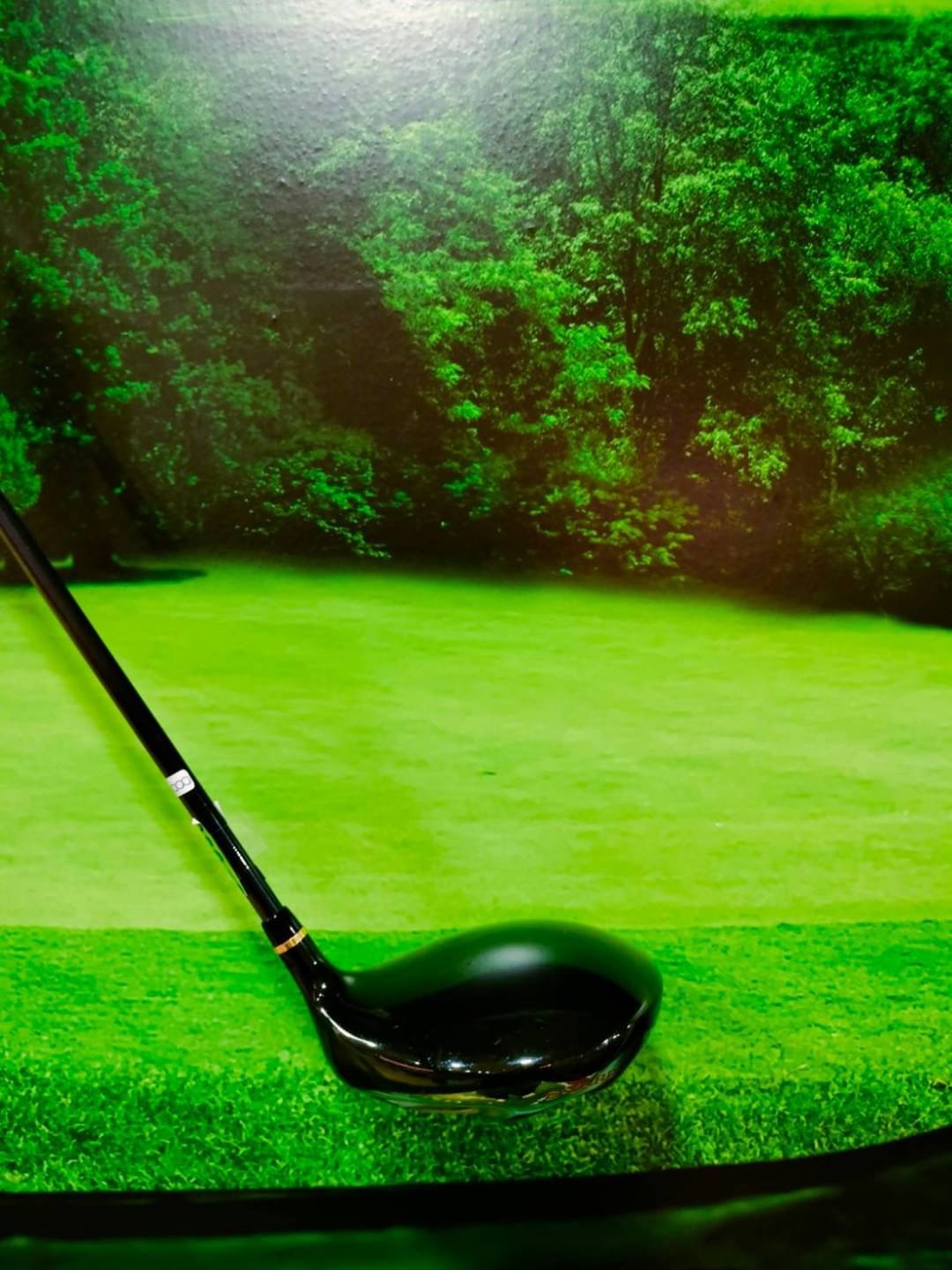 Driver S-YARD Acroclass Loft 10.5 (flex: R1)