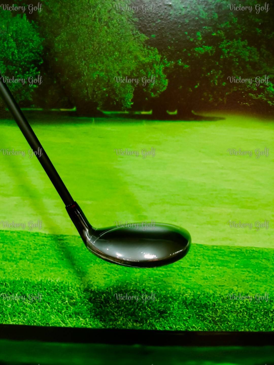 Ut. ON-OFF Model WINGS AKA 2024 U.5/24 (Flex: R)