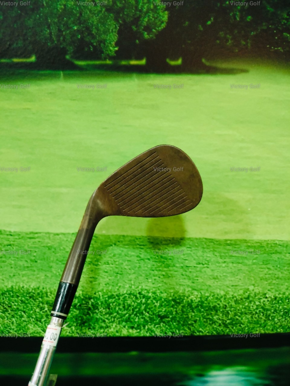 Wedge Royal Collection DB Forged Loft 58 (N.S.Pro)