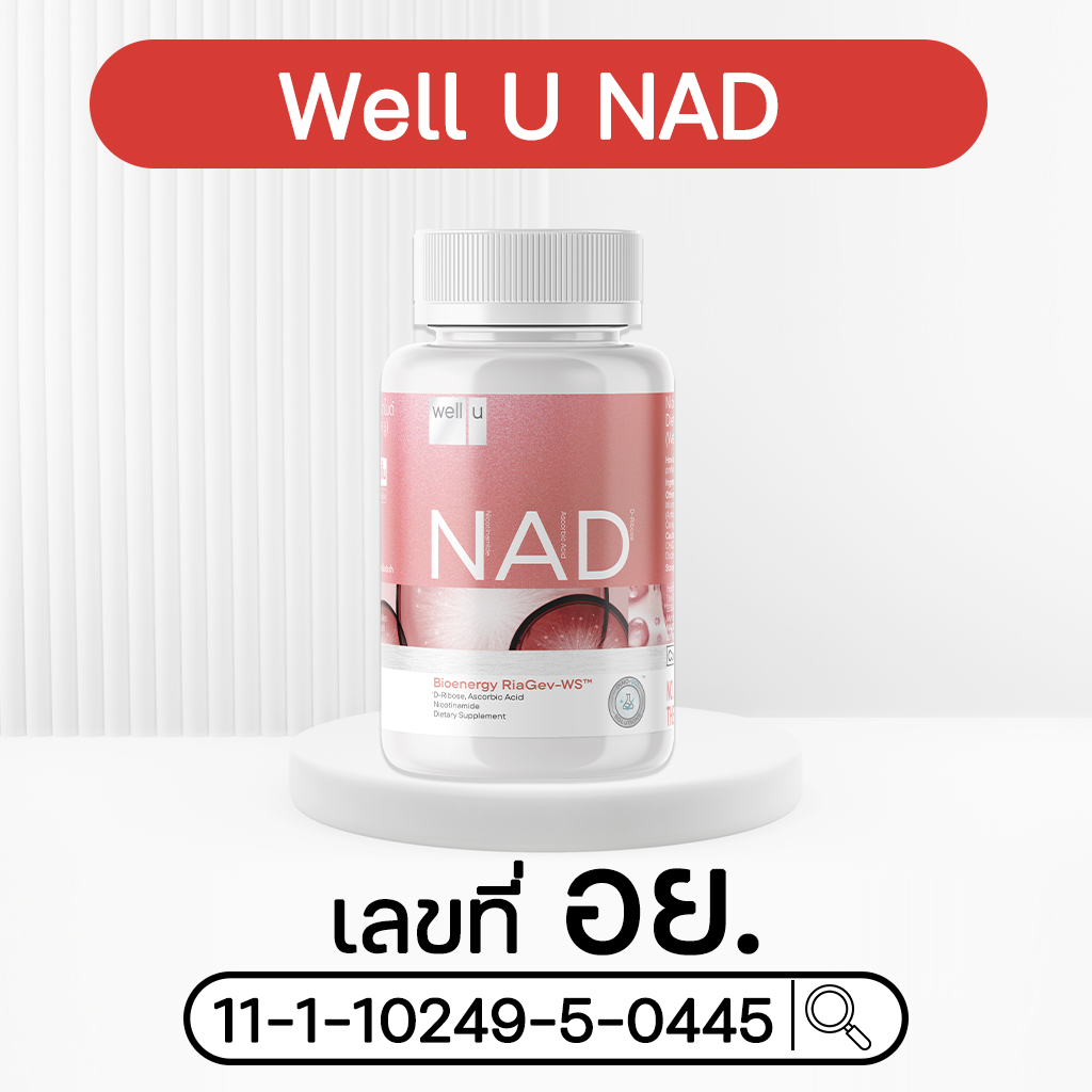 เลขที่อย. ใน เวลยู แนส