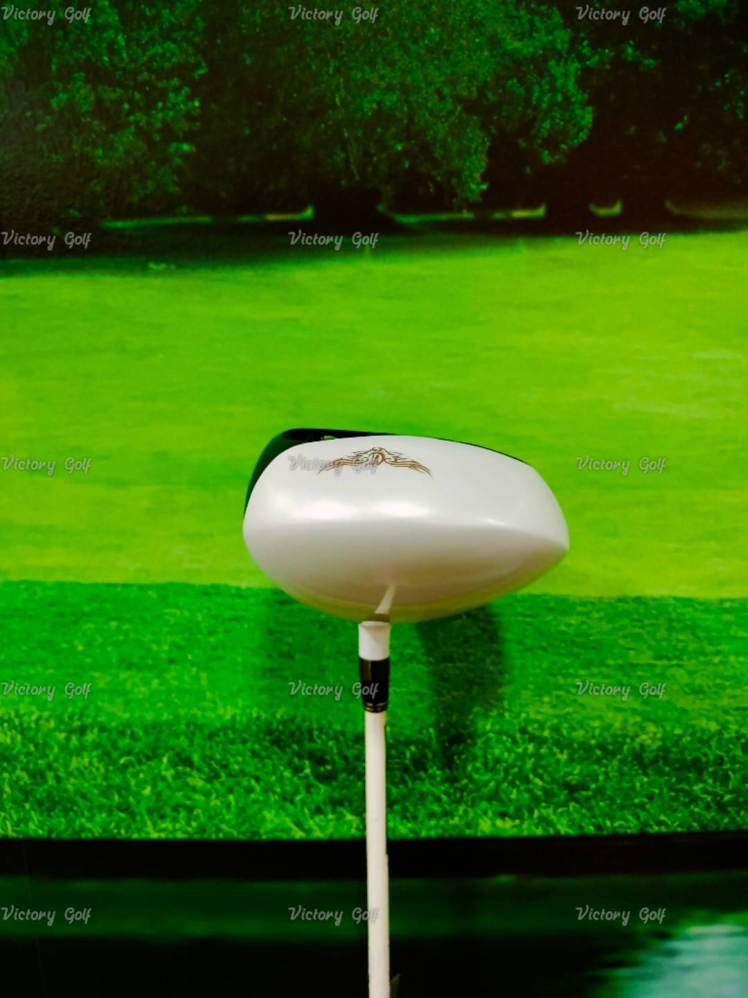 Driver Crazy CRZ+435ll (LABAMBA LY01) / (5.9)