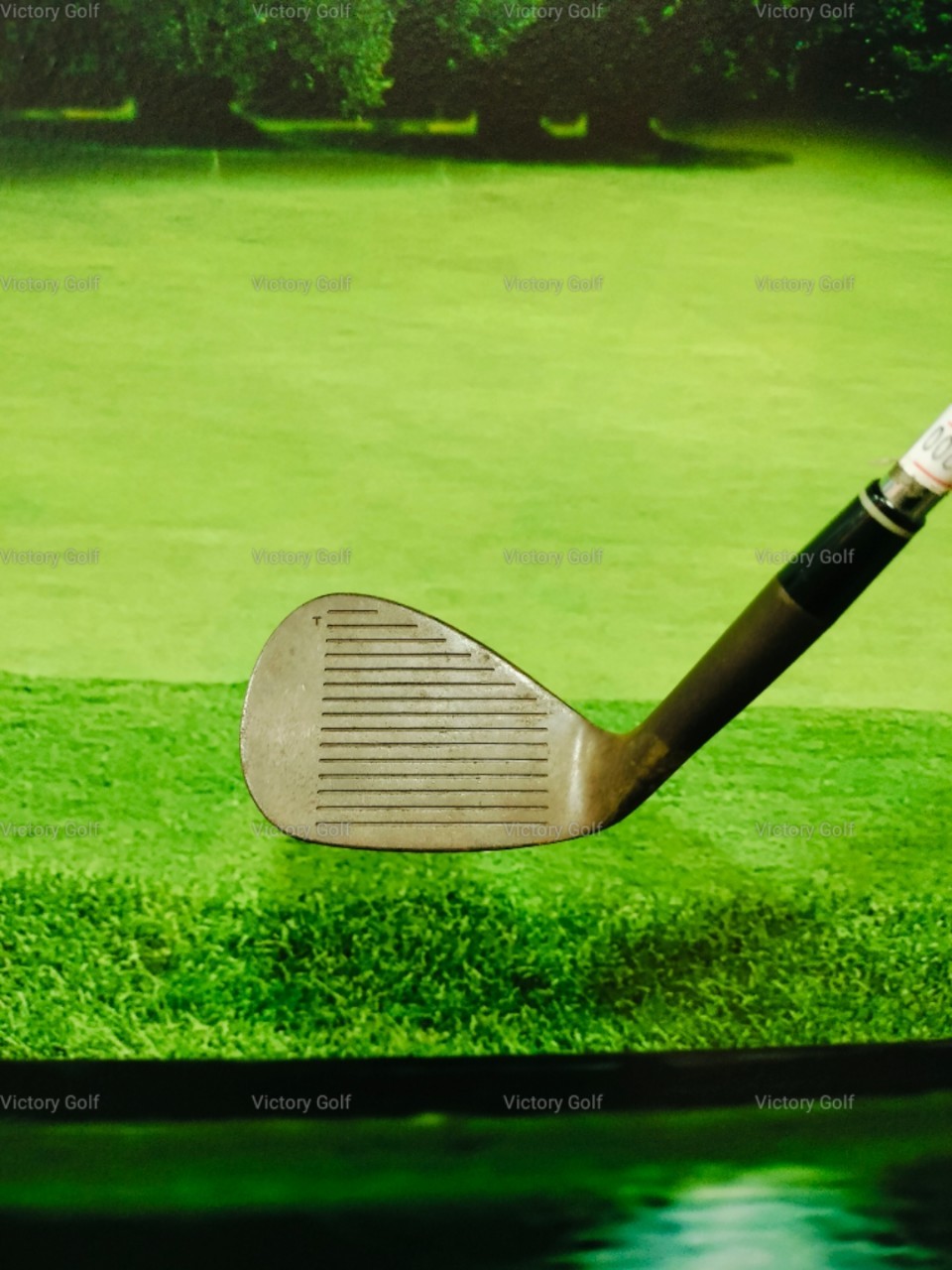 Wedge Royal Collection DB Forged Loft 58 (N.S.Pro)