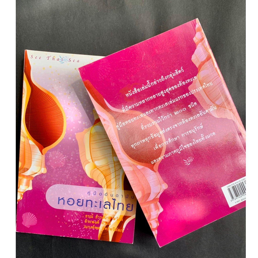 คู่มืออันดามัน หอยทะเลไทย