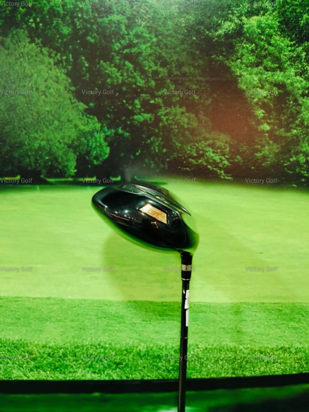 Driver Ryoma Maxima Type D 10.5 (Tour AD M2-D) / (SR)