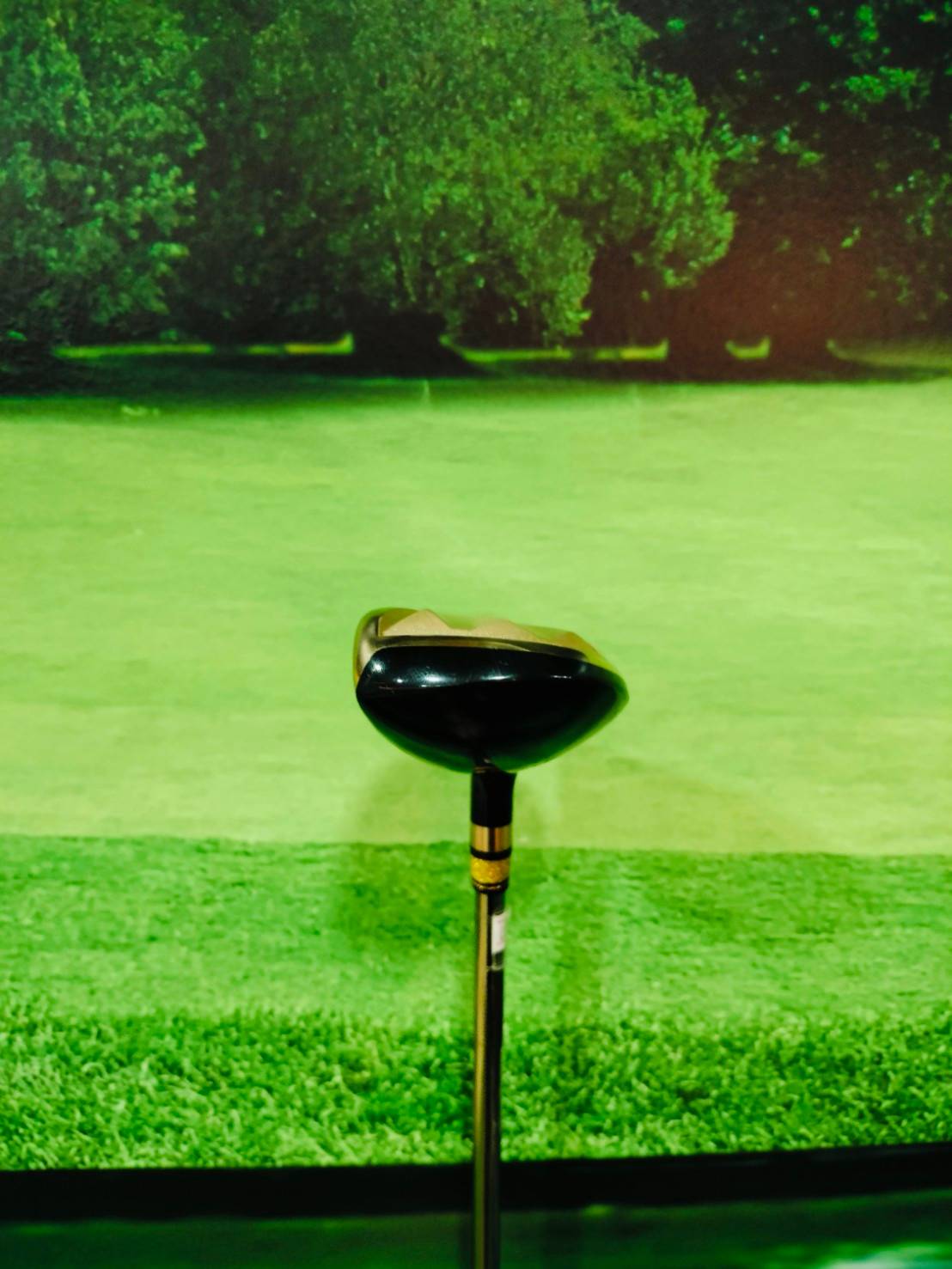 Utility Grand Prix GP PLATINUM /17 ( S )