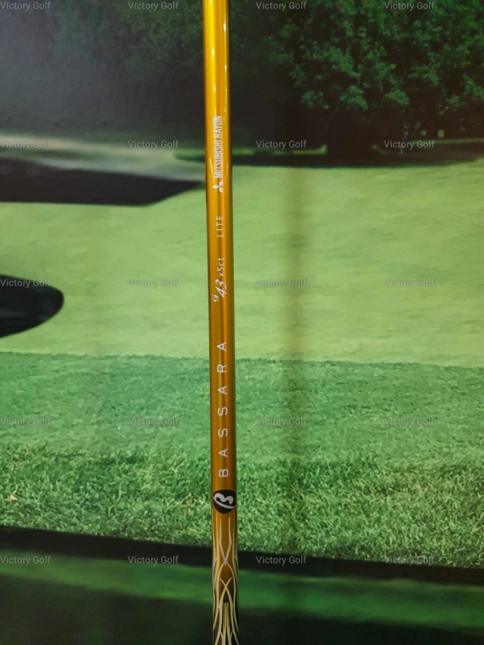 Driver Royal Collection Extra Vintage Premium 10.5 (Bassara) / (R)