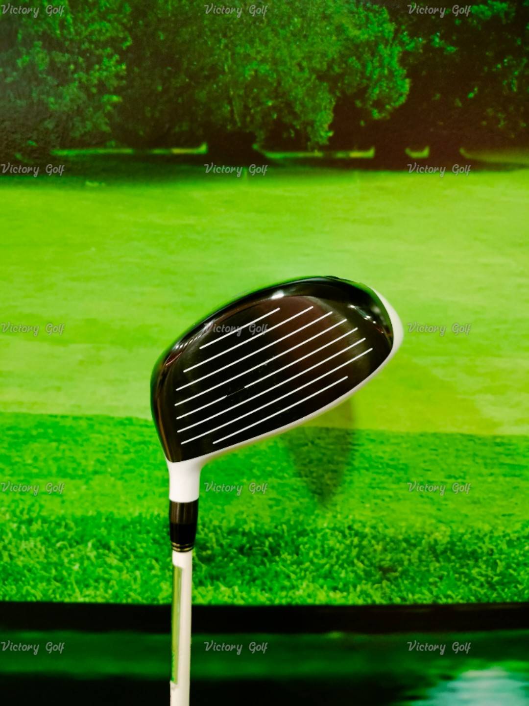 Driver Crazy CRZ+435ll (LABAMBA LY01) / (5.9)