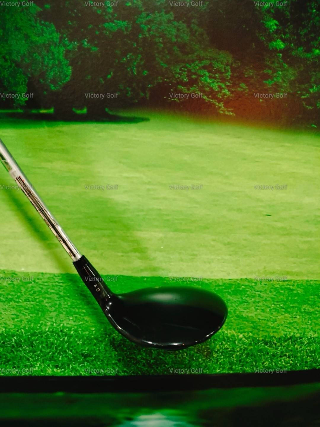 Fairway Titleist VG3 5/19 (VGF) / (R)