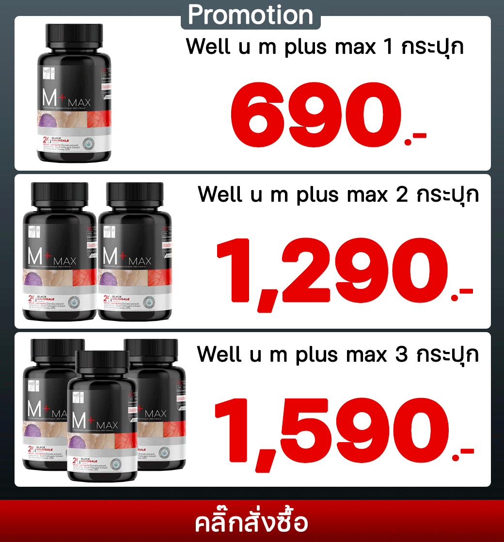 Well U M Plus Max ราคา