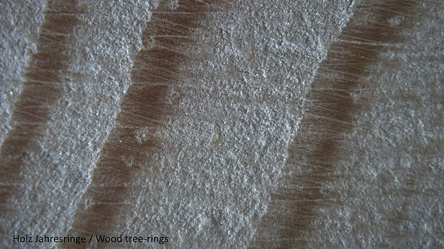 National Geographic Stereo Microscope 20X