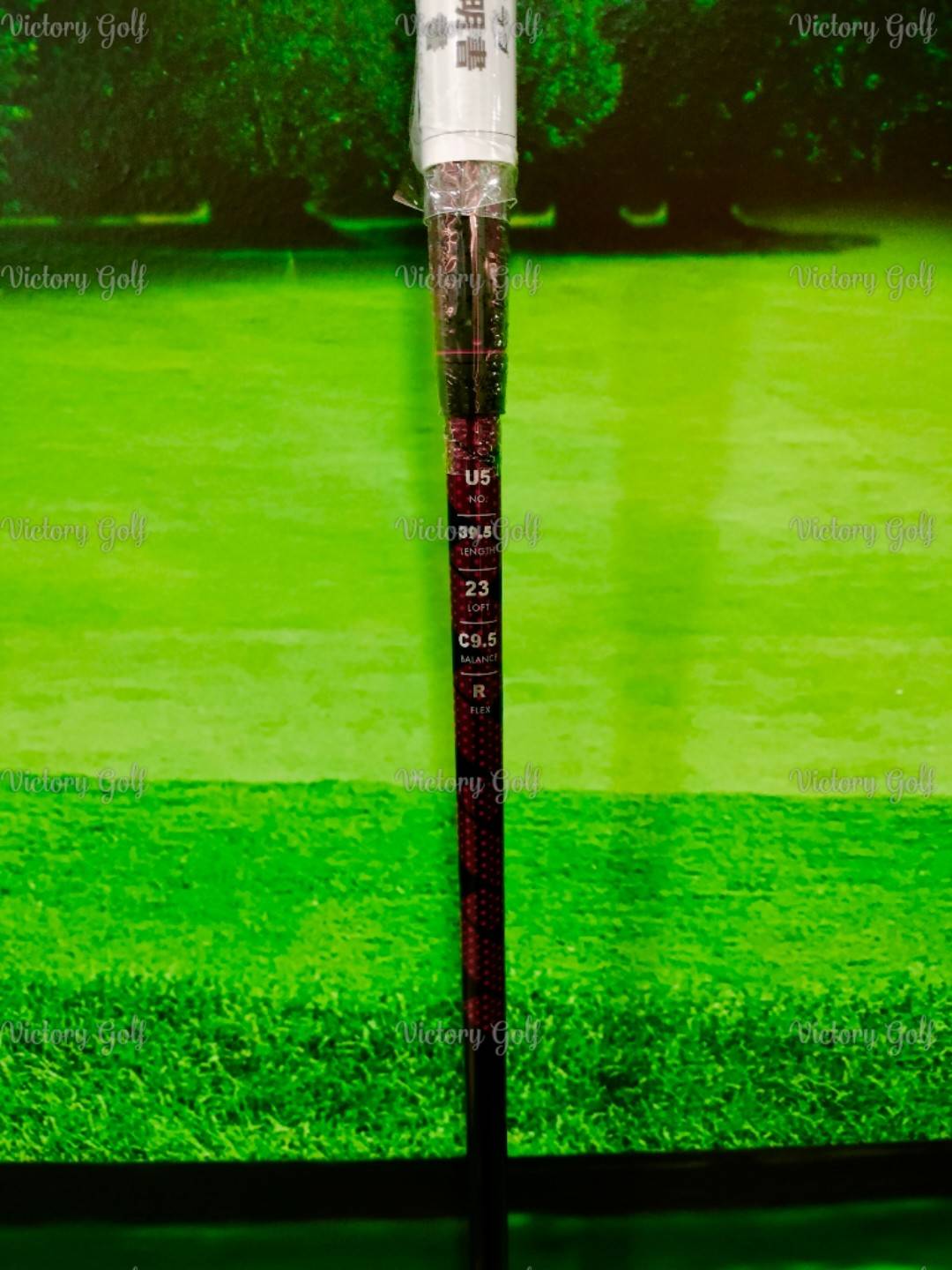 Ut. ON-OFF Model WINGS AKA 2024 U.5/24 (Flex: R)