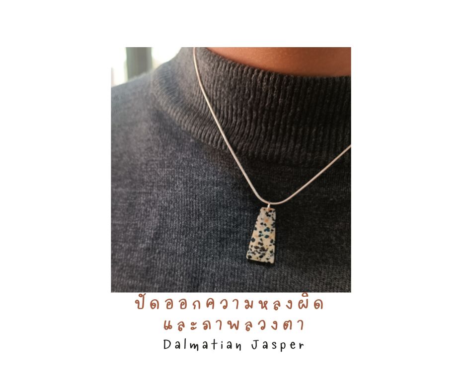 สร้อยเงินแท้ 92.5 พร้อมจี้ Dalmatian Jasper Silver Necklace (Self-Love Self Healing)