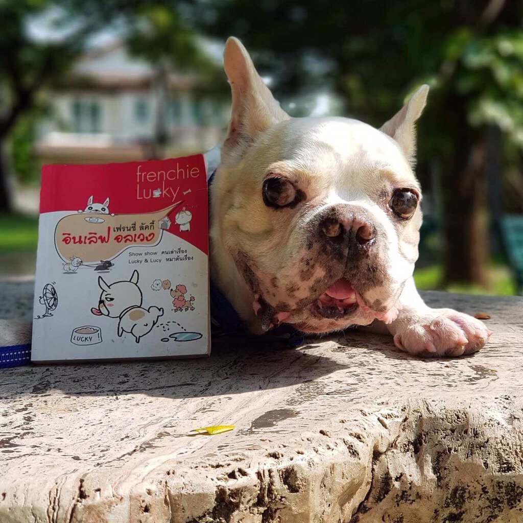 เฟรนชี่ ลัคกี้ อินเลิฟ อลเวง