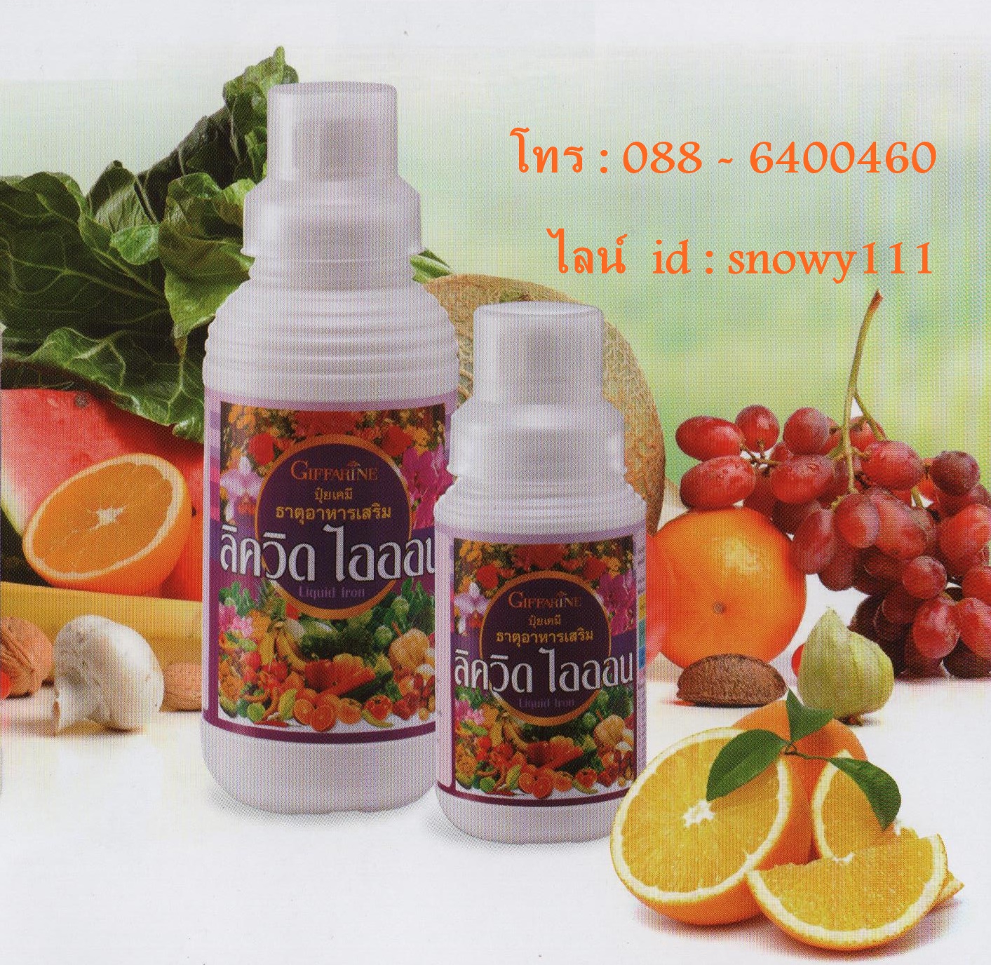 ลิควิด ไอออน ( 500ซีซี ) 51901