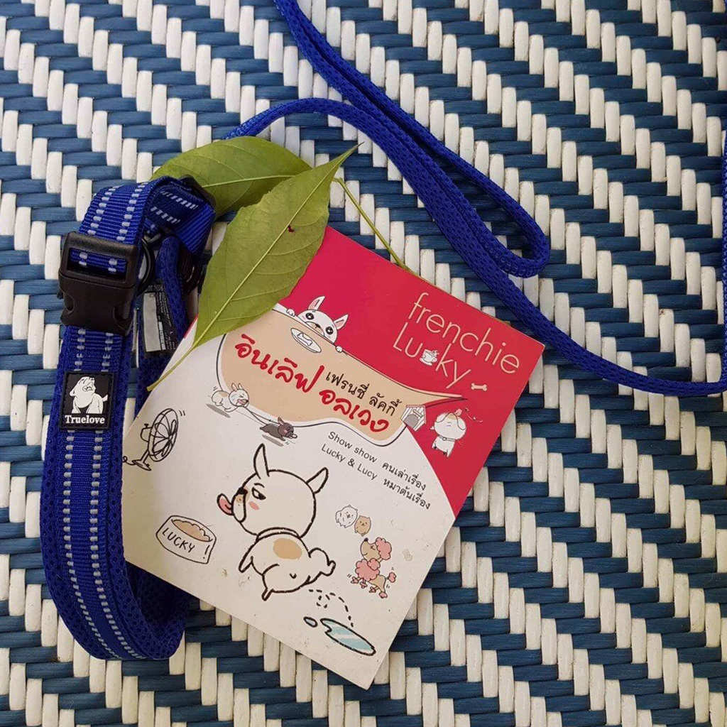 เฟรนชี่ ลัคกี้ อินเลิฟ อลเวง