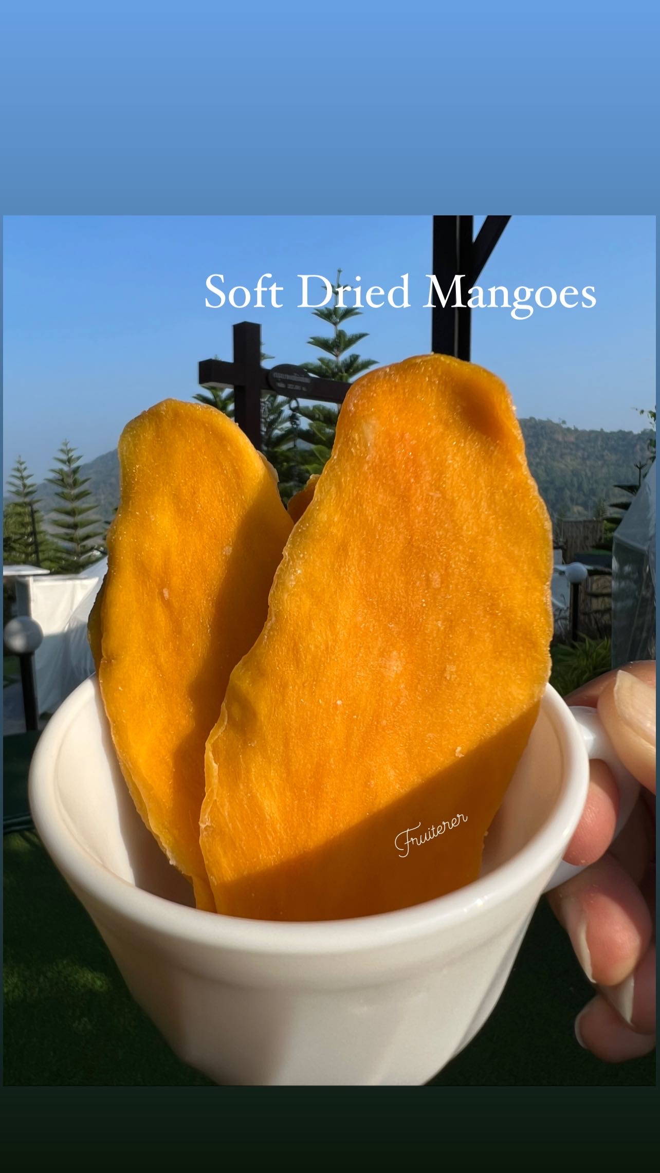 Dehydrated Mangoes 200g. | มะม่วงแก้วขมิ้นอบ 200 กรัม