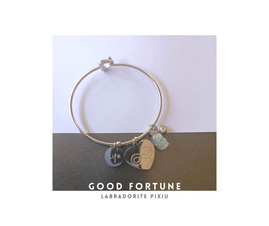 กำไลข้อมือ ประดับหินแท้ Pixiu Labradorite Bangle (ดึงดูดโชคลาภ เงินทอง)