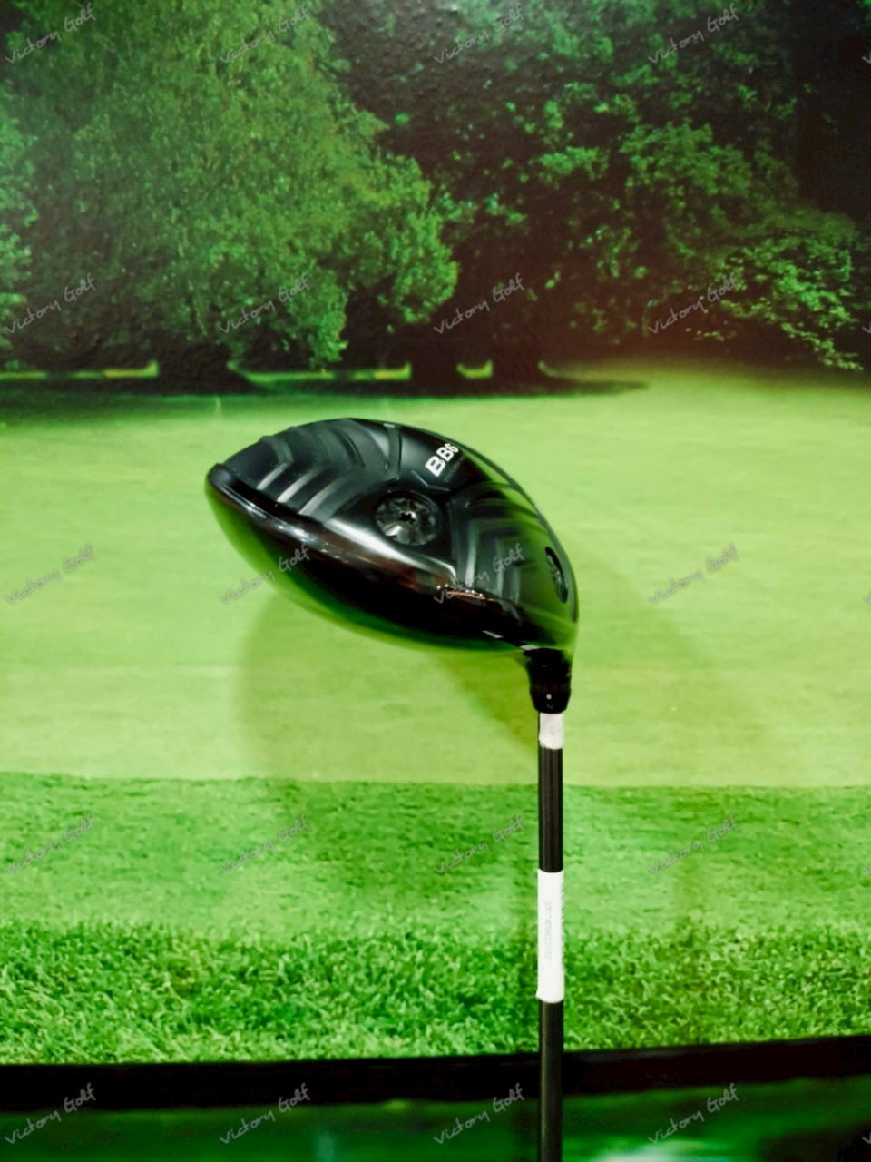 Driver Progress BB6 Endless Ambition 9.5 ( Basileus )/ ( SR )