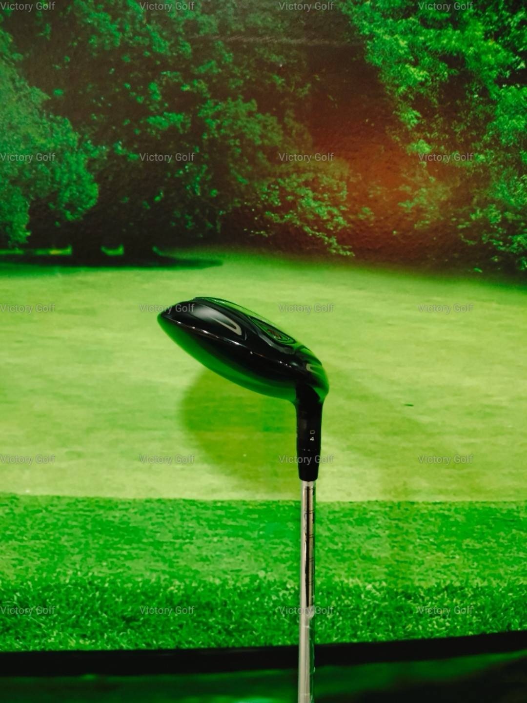 Fairway Titleist VG3 5/19 (VGF) / (R)